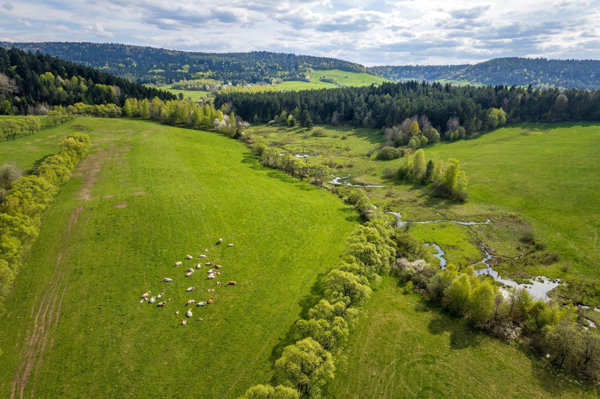 Pastelova Krova - Domki W Bieszczadach Ustrzyki Dolne Exterior foto