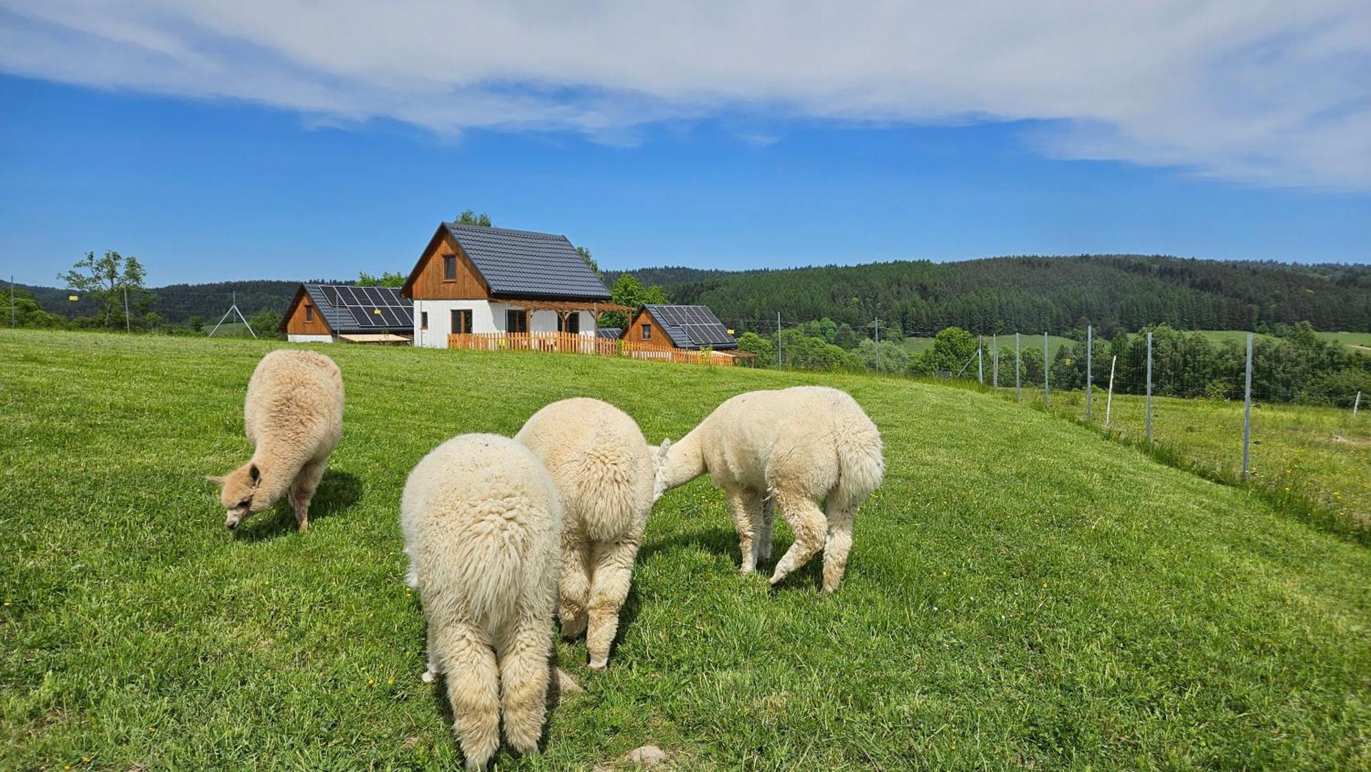 Pastelova Krova - Domki W Bieszczadach Ustrzyki Dolne Exterior foto